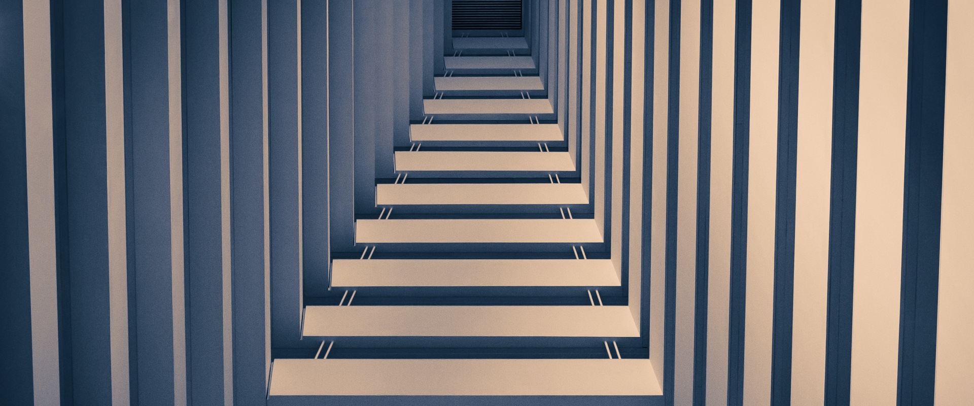 Understanding Parallel and Perpendicular Lines: The Basics of Geometry